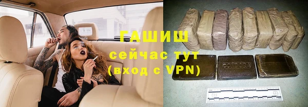 гидра Надым