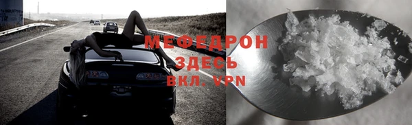 прущие грибы Нефтекумск