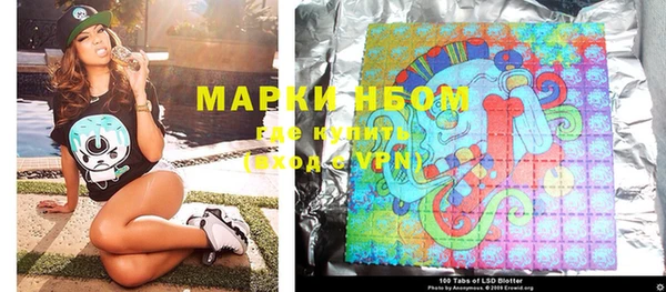 гидра Надым