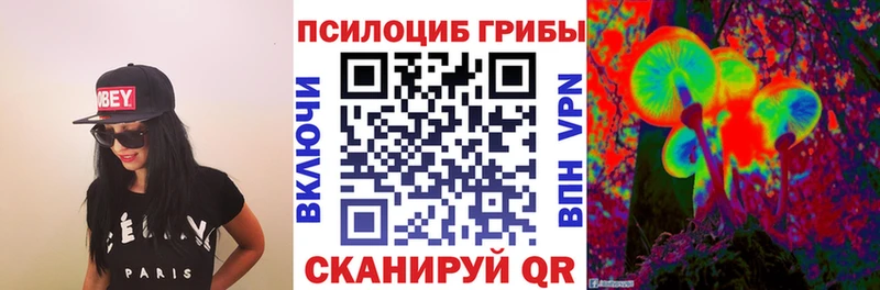 Галлюциногенные грибы MAGIC MUSHROOMS  Купить закладки  Чегем 