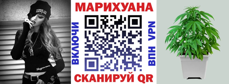 Бошки Шишки LSD WEED  Купить закладки  Чегем 